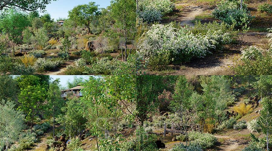 GlobePlants Bundle 19 Temperate Plants - مدل سه بعدی درختان اقلیم معتدل - دانلود مستقیم