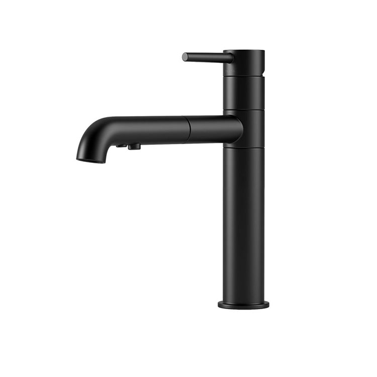 Trinsic 4159 Kitchen Faucet by Delta