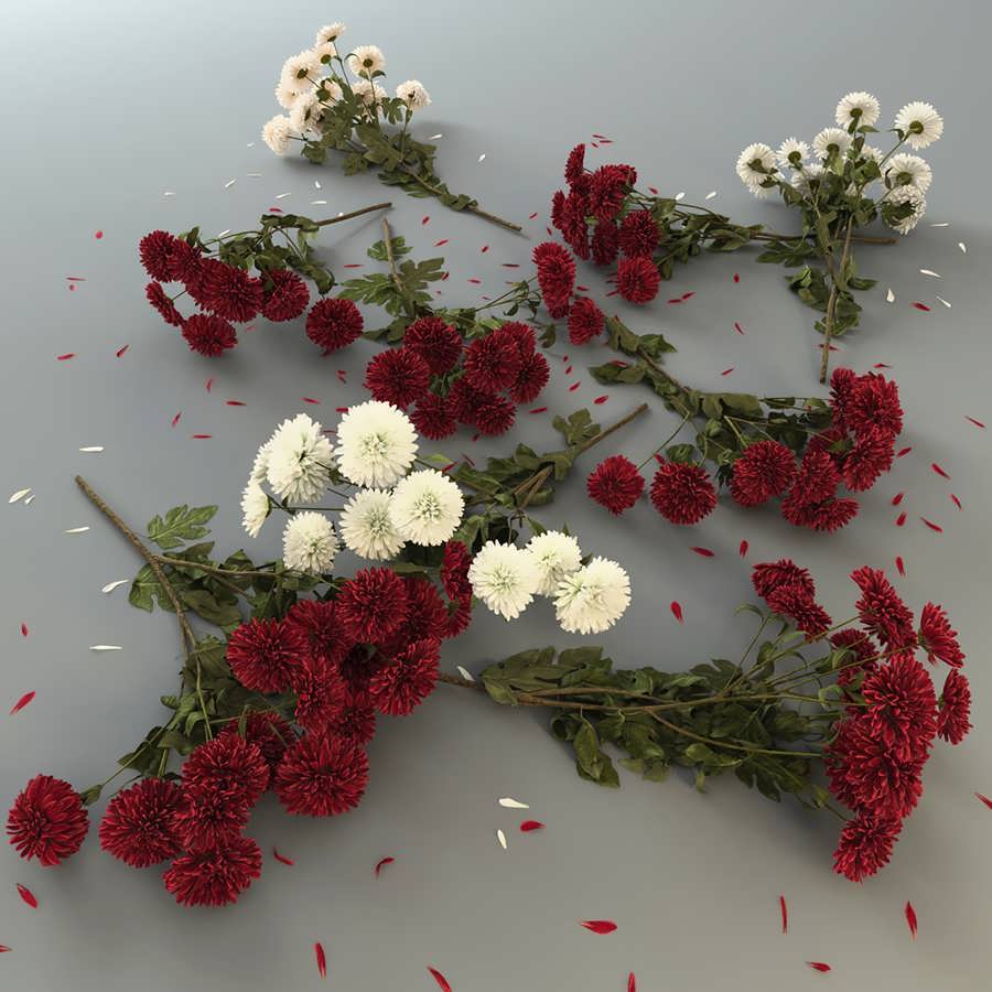 3dsky pro Nine Chrysanthemums 3D Model