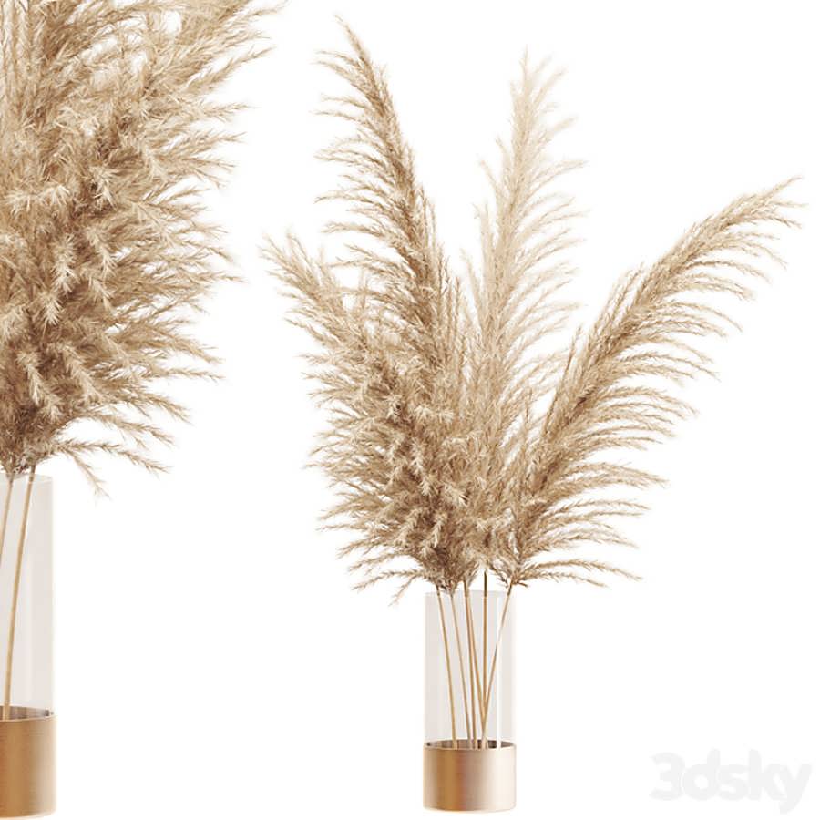 3dsky pro Dried flower pampas grass in glass gold vase 3D Model