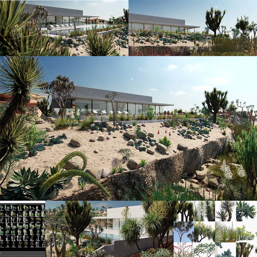 Globe Plants Bundle 11 - Desert Garden Plants - آبجکت گیاهان صحرایی
