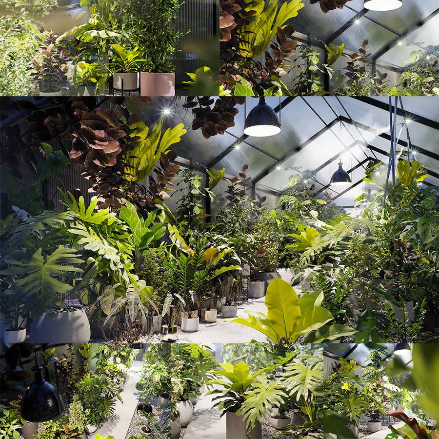 Globe Plants Bundle 30 - Interior Pot Plants مدل سه‌بعدی گیاهان داخلی