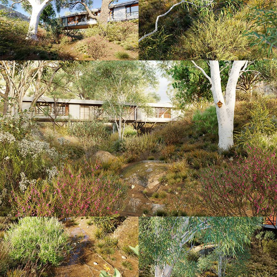 Globe Plants- Bundle 41 - Australian Wild Plants آبجکت گیاهان وحشی استرالیایی