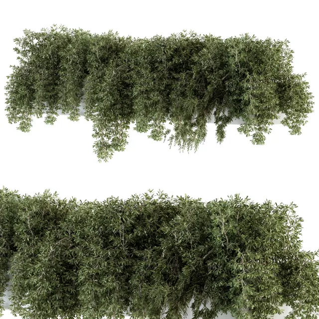 ست گیاهان پیچک در باکس برای فضای باز؛ مناسب طراحی ویلا و تراس با رندر طبیعی.