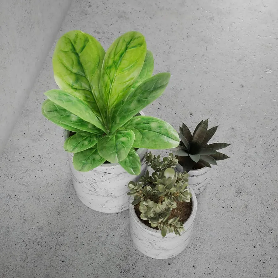 3dSky Decorative Set Of Plants 3D Object
