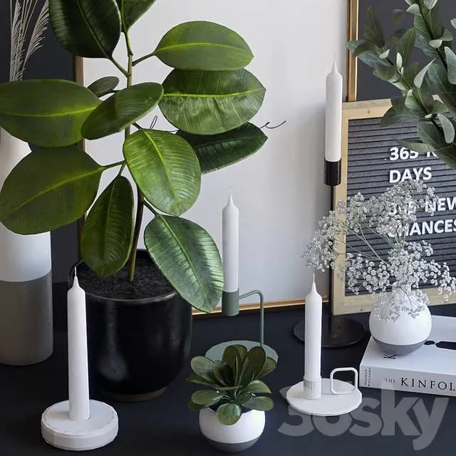 3dSky Decorative Set With Ficus And Eucalyptus 3D Object