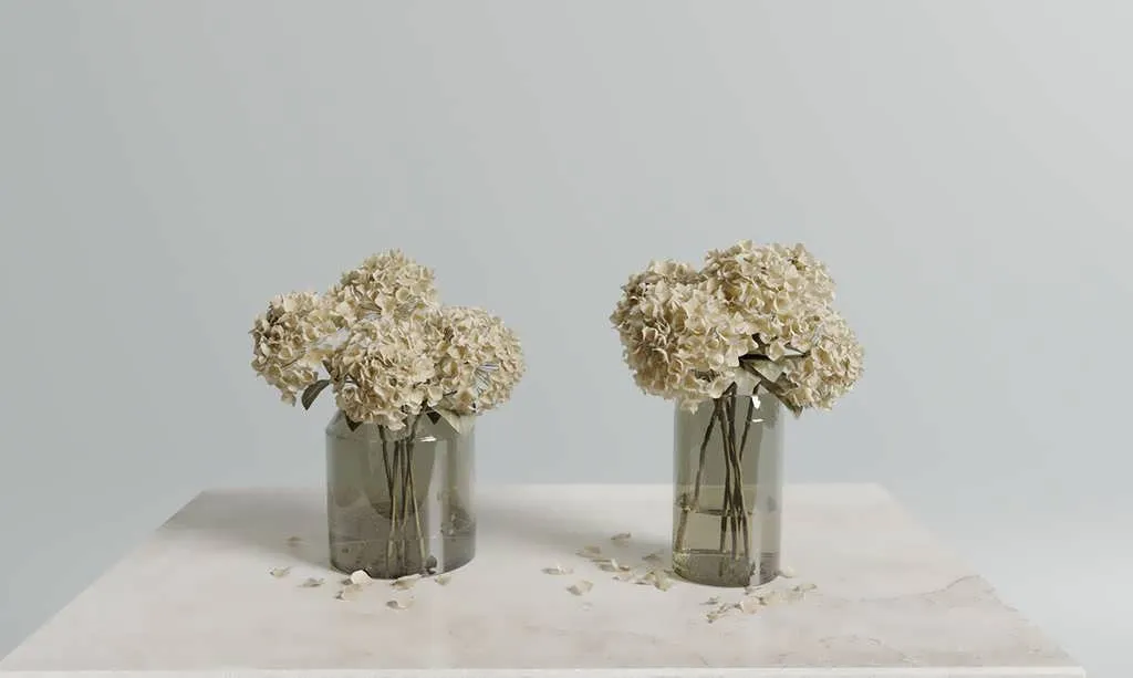 گل خشک سه بعدی هورتانسیا برای دکوراسیون داخلی و رندر واقع‌گرایانه
