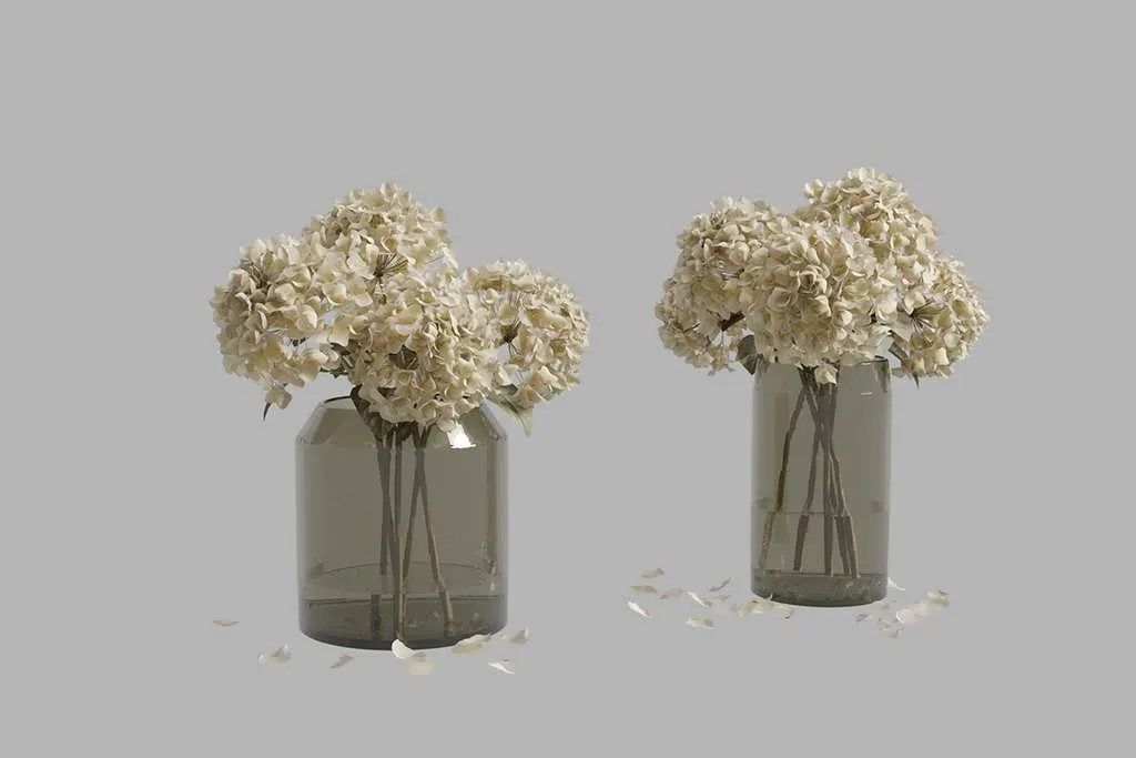 گل خشک سه بعدی هورتانسیا برای دکوراسیون داخلی و رندر واقع‌گرایانه