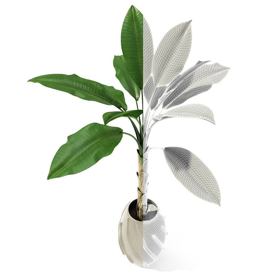 3dSky Palm Tree 3D Object