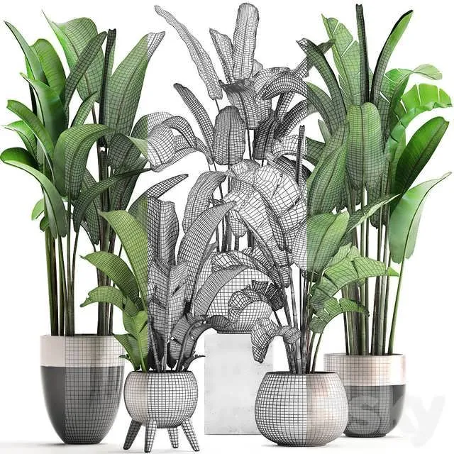 مجموعه گیاهان سه بعدی شماره 308 برای طراحی معماری