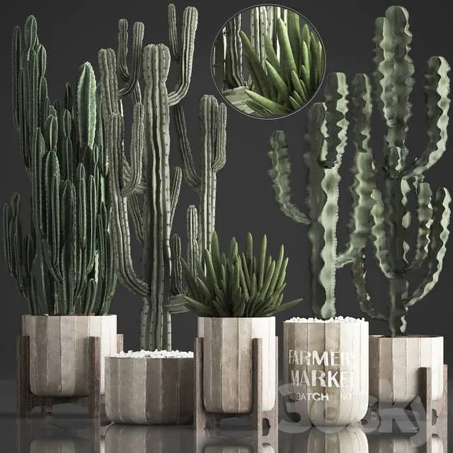 3dSky Plant Collection 374 3D Object