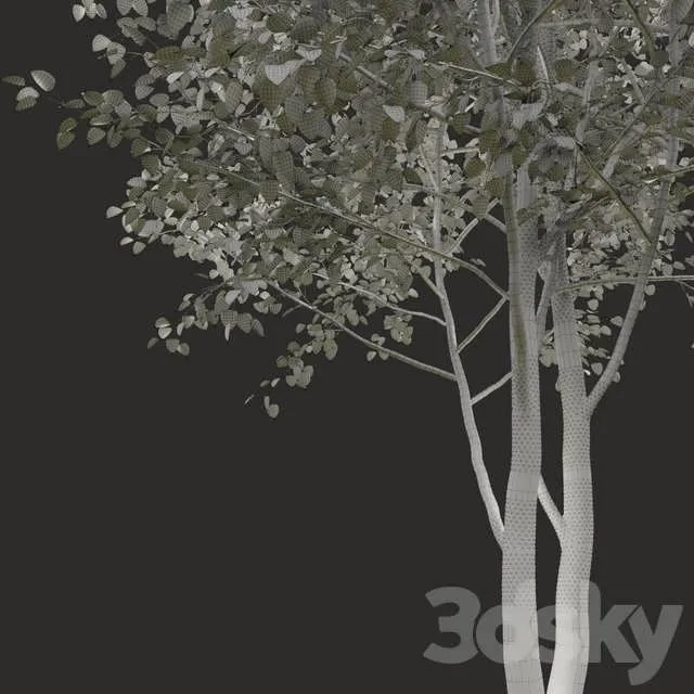 درخت تابستانی سه بعدی شماره 2 برای طراحی فضای سبز و محوطه‌سازی