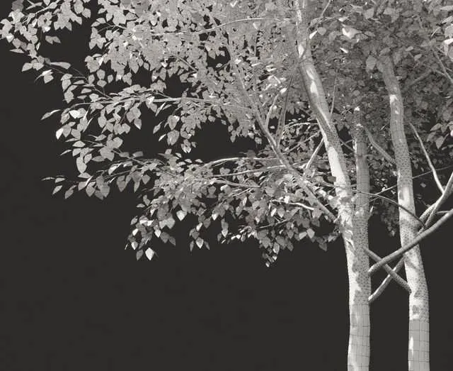 درخت تابستانی سه بعدی شماره 3 برای محوطه‌سازی و طراحی داخلی خارجی