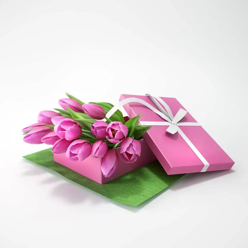 3dSky Tulips In A Gift 3D Object